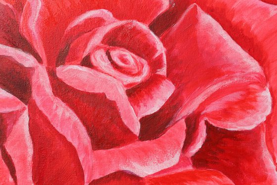 Red rose - the emblem of love, 60*50