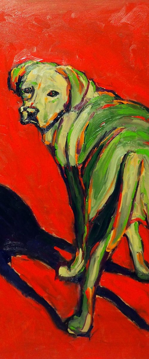 The green dog by Yuanyuan Liu