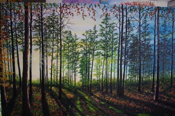 Shadows Before Dusk