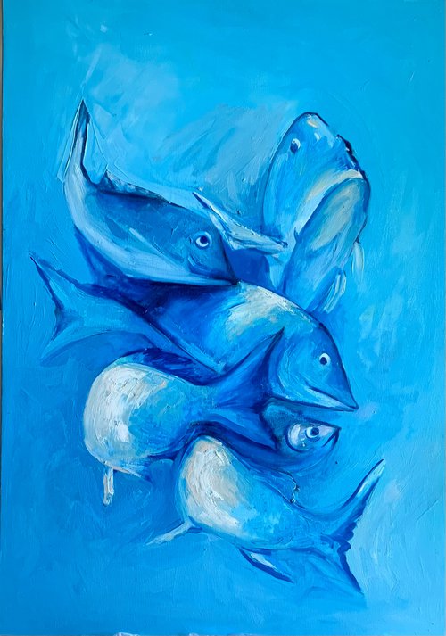 Fish underwater by Olga Pascari