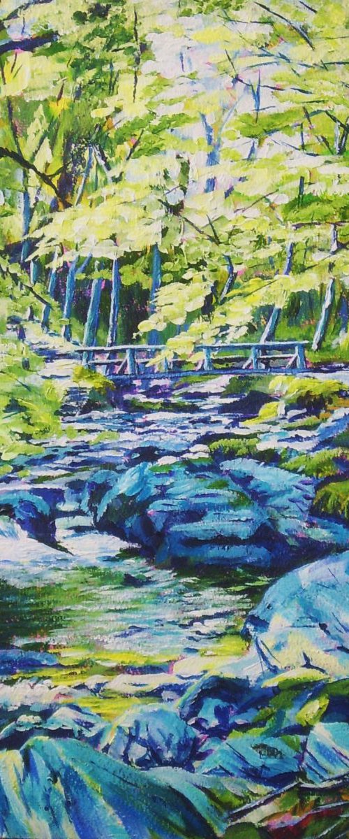 Ballaglass Glen - Isle of Man by Max Aitken