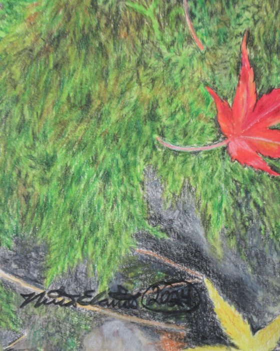 Fallen Leaves On A Mossy Rock