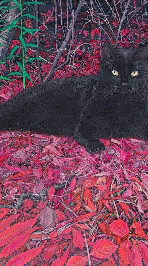 Black cat on a carpet of red leaves by Natalie Levkovska