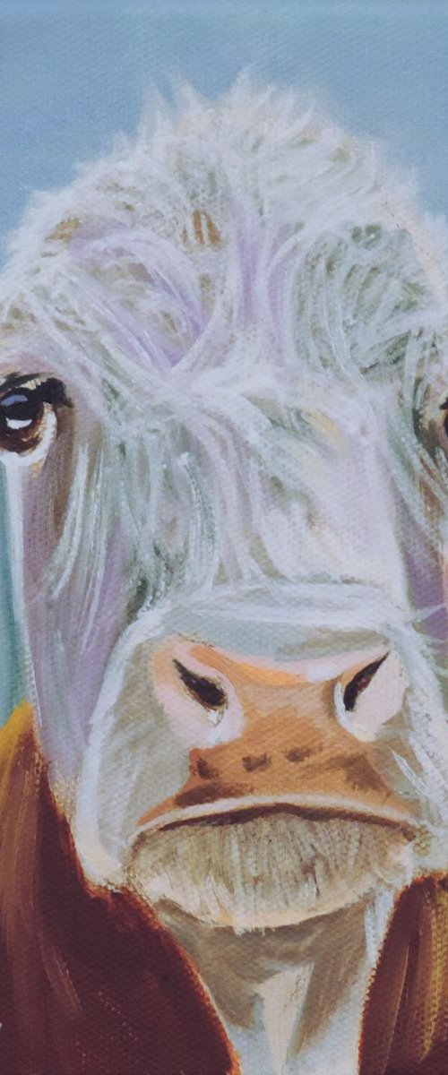 Cow face by Gordon Bruce