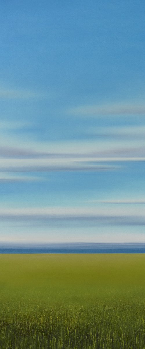 Verdant Grass - Blue Sky Landscape by Suzanne Vaughan