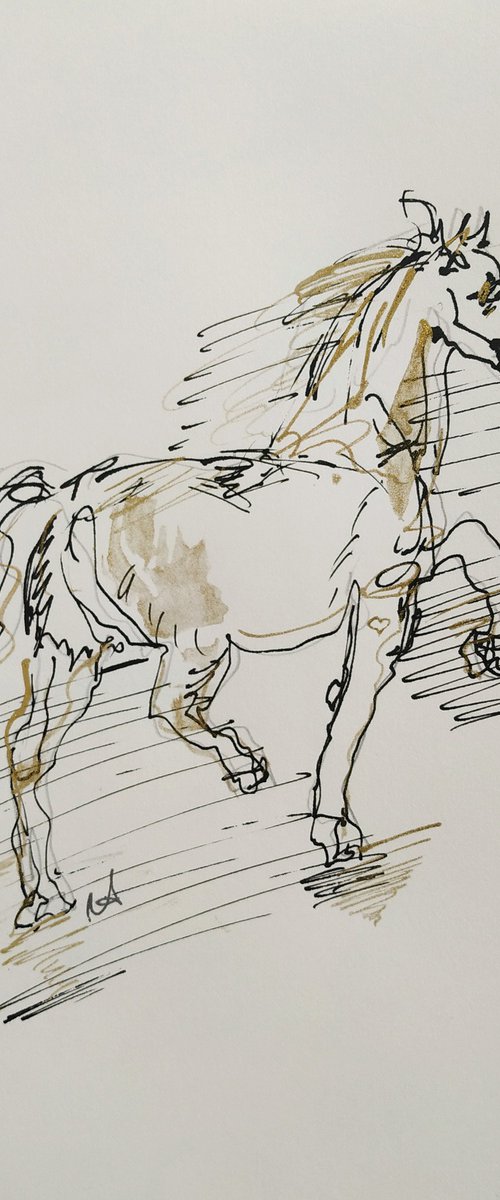 Horse by Antigoni Tziora