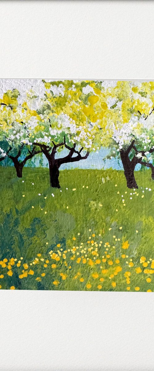 Cherry Blossom Dandelion orchard by Teresa Tanner