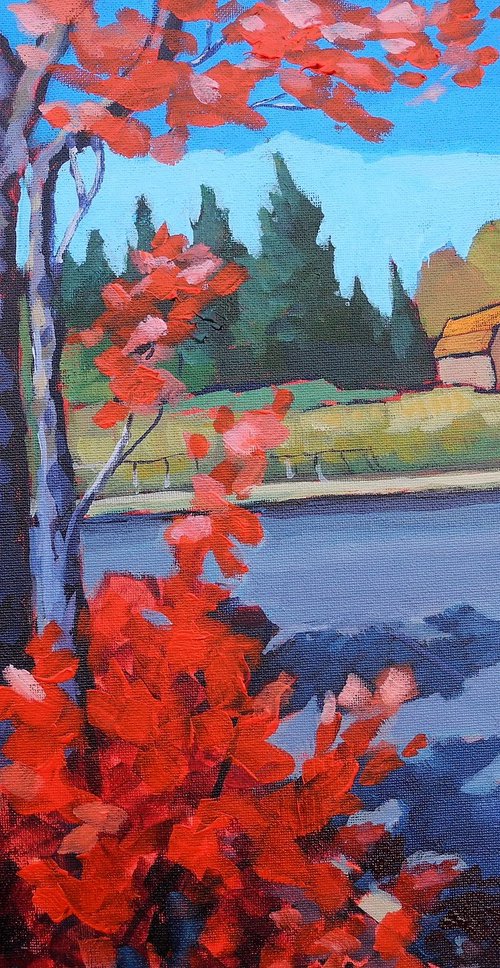 Fall Colours in Markham by Edward  Abela
