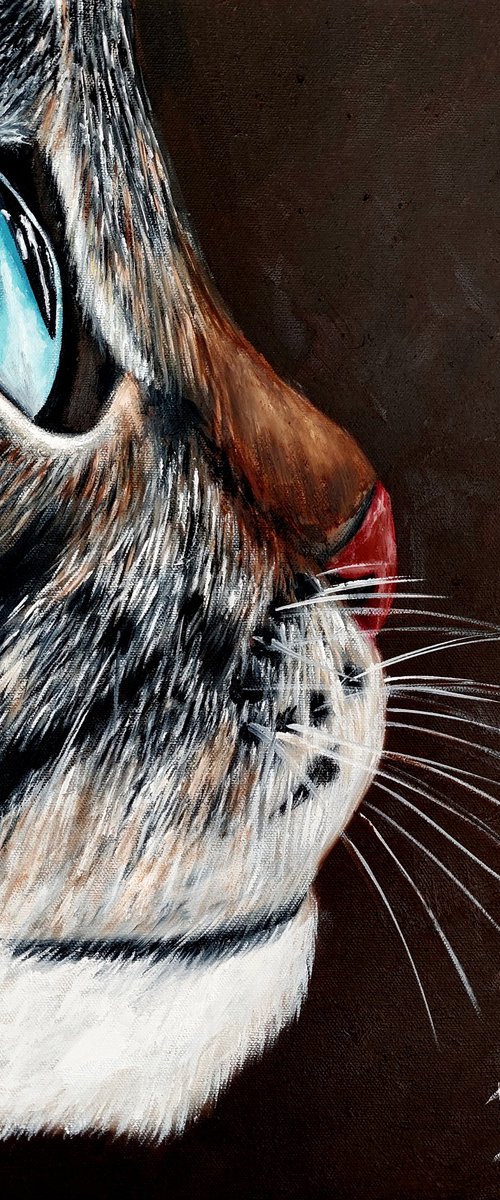 Soft Vigil by Ira Whittaker