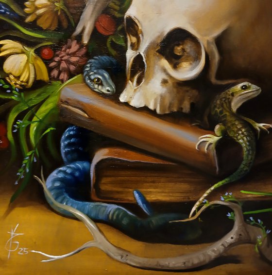 a company of wise creatures