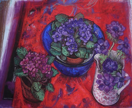 Still life African Violets on red background