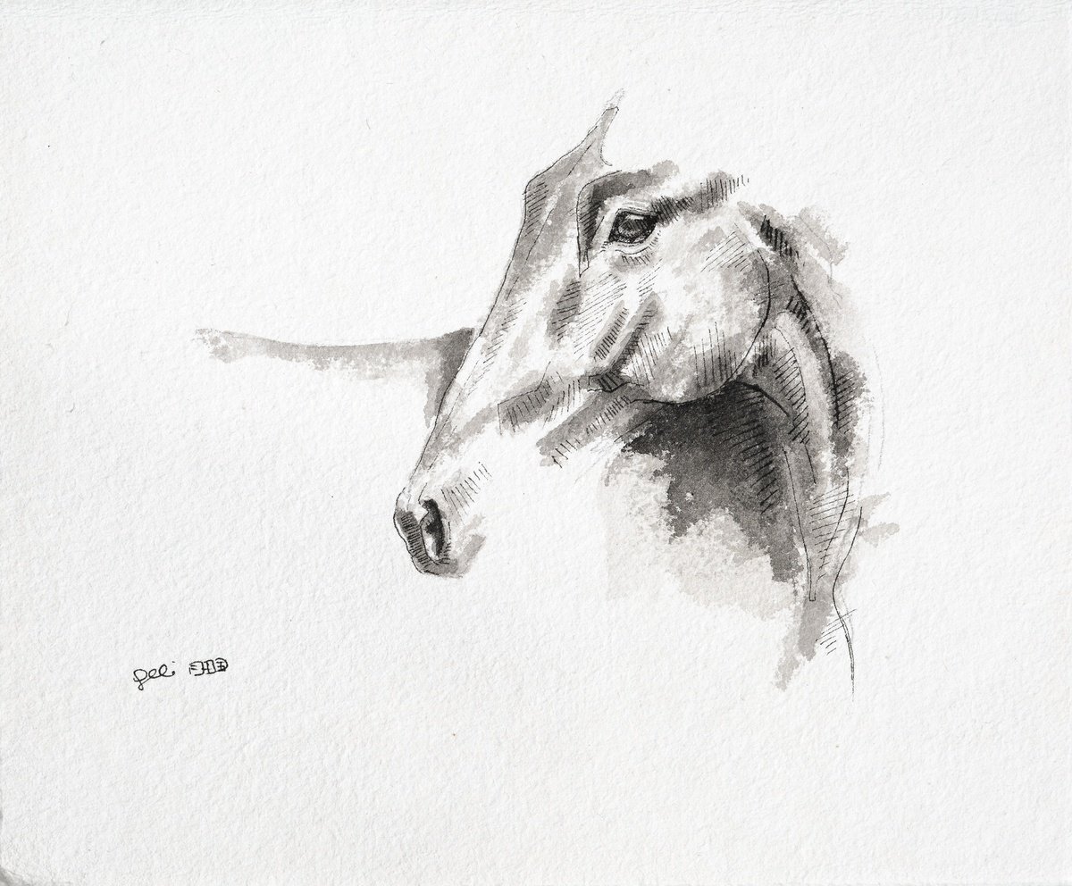 Expressive Ink Drawing , Equine Nude 300 By Benedicte Gele, 10 X 8, Artwork For Sale On Artfinder