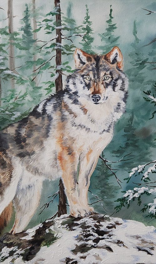 "First Snow" - Wolf - Wildlife by Katrina Case