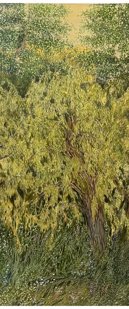 Golden Willows by Maija Nochevnaya