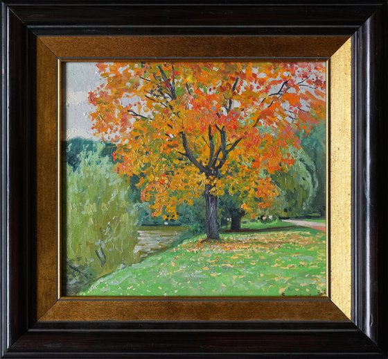 Autumn maple by the pond