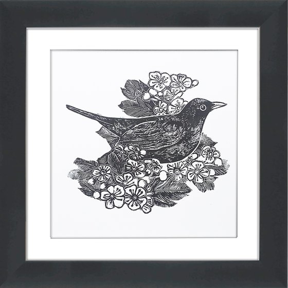 Mr Blackbird