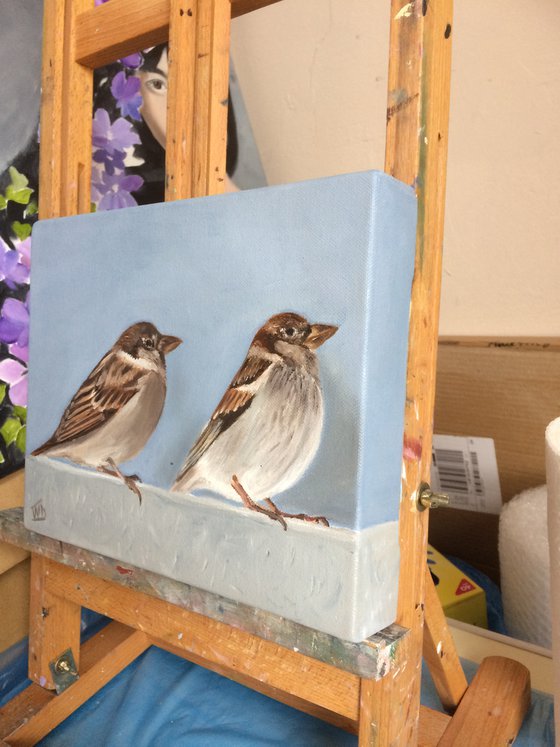 Young sparrows