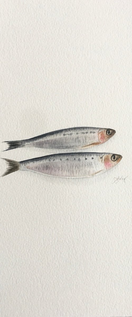 2 sardines by Amelia Taylor