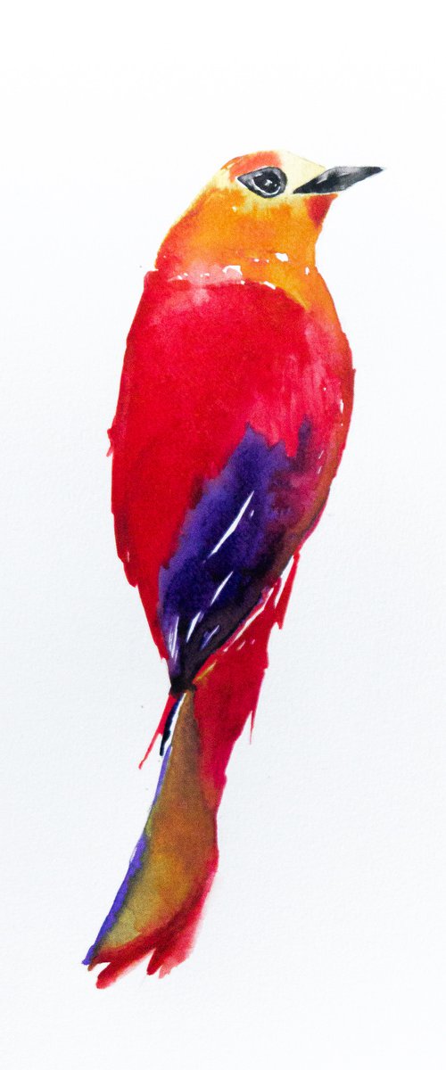 Bird by Nadia Moniatis