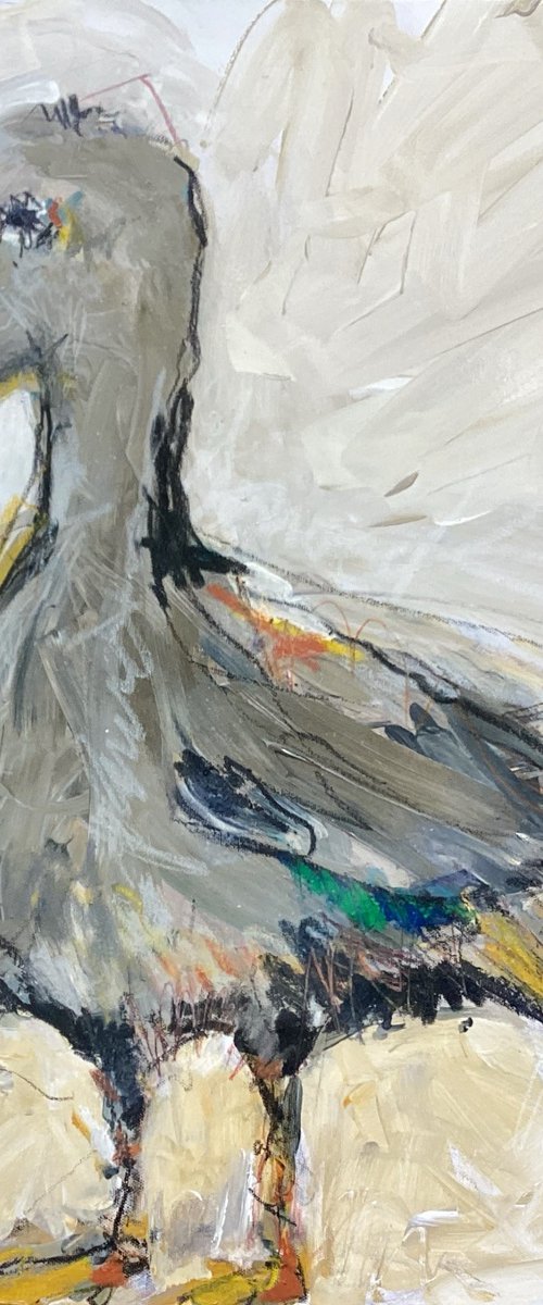 The Young Duck by Irene Wilkes