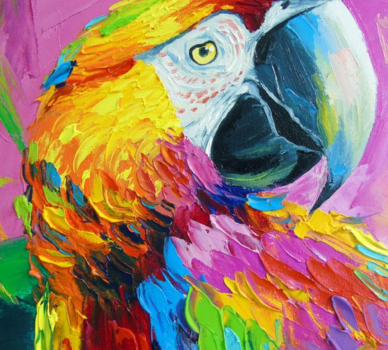 Macaw Parrot