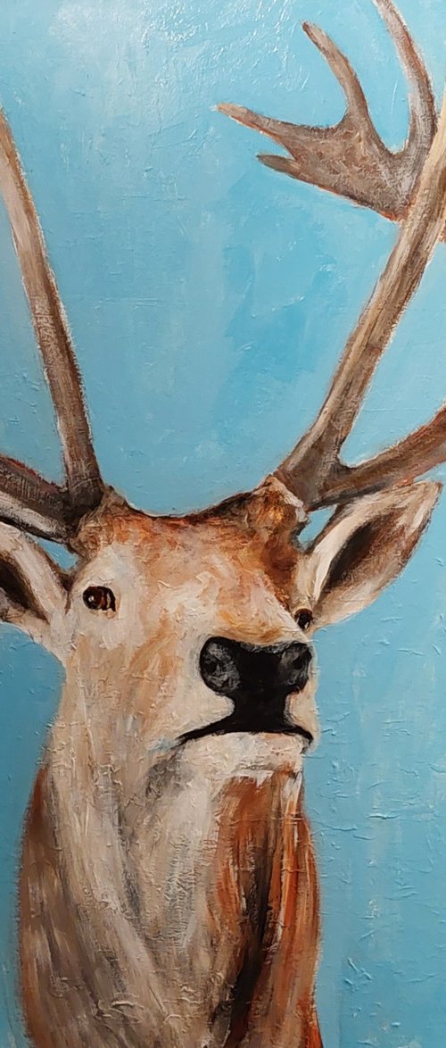 Deer by Els Driesen