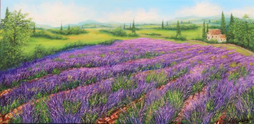 Lavender field by Ludmilla Ukrow