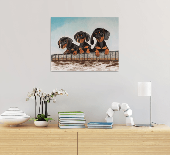 Pups on the Dock