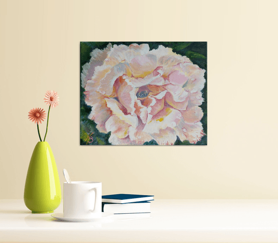 Blooming rose