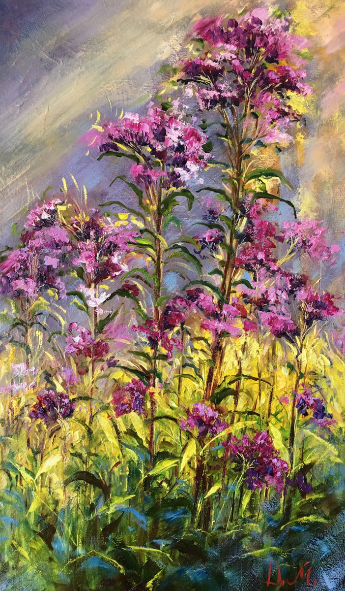 Impressionistic Botanical Oil Painting By Diana Malivani, 12 X 20, Meadow Flowers, Original Artwork