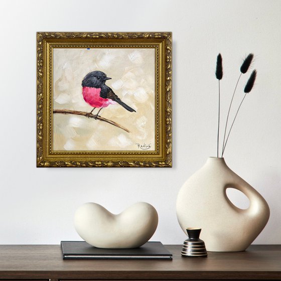 Pink Robin