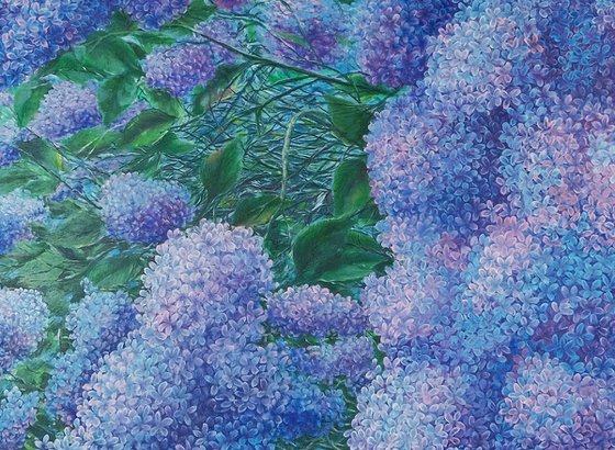 Sea of Lilacs