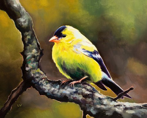 Male yellow goldfinch on a branch by Lucia Verdejo