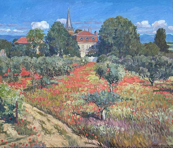 Poppy field near the old estate