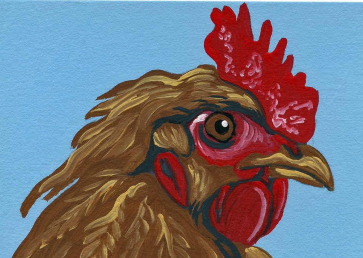 Chicken Bird by Carla Smale