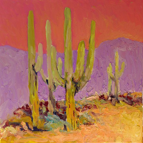 Saguaros Under a Coral Sky