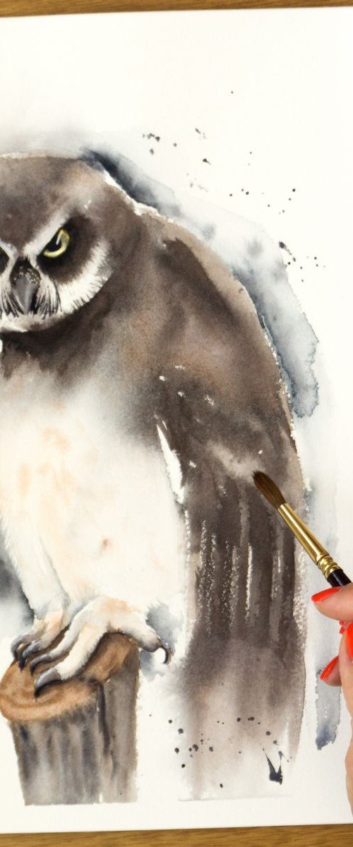 Spectacled owl Original Watercolor Painting by Olga Tchefranov (Shefranov)