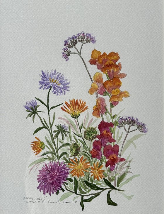 Summer in the garden