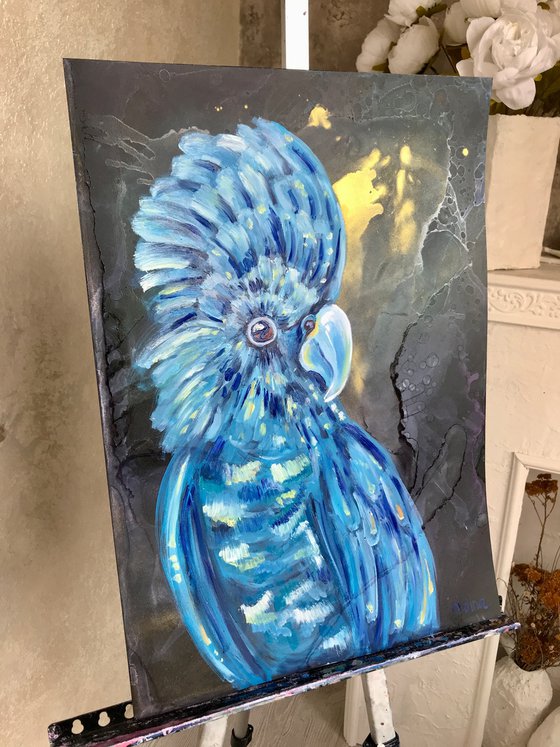 Blue parrot