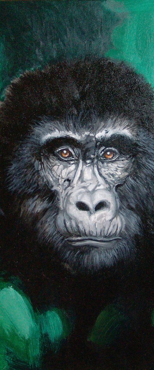 Gorilla by Jolanta Czarnecka
