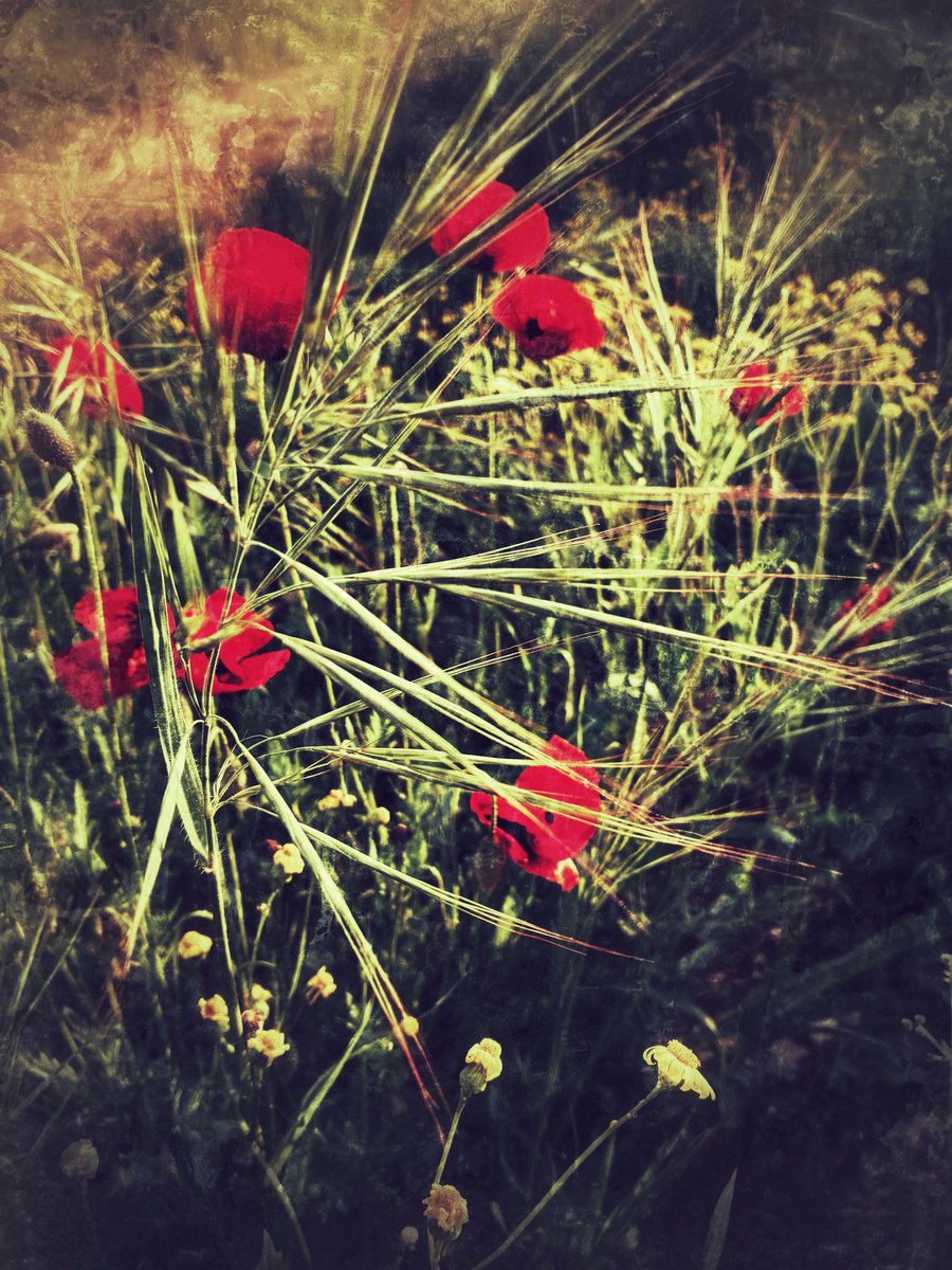 Impressionistic Photograph , Spring Prelude By Nektaria Thalia, 20 X 24, Artwork For Sale On Artfinder