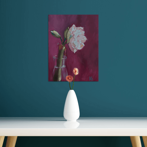 Still-life with flower "Amaryllis"