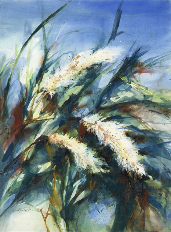 Pampas Grass