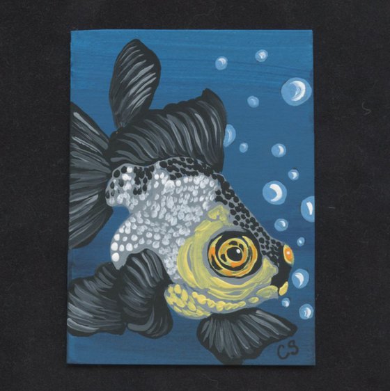 ACEO ATC Original Painting Panda Black Moor Goldfish Pet Art-Carla Smale