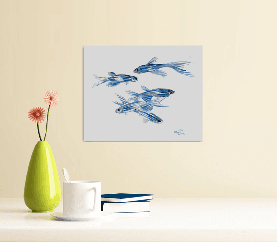 Danio, Zebrafish Aquarium art