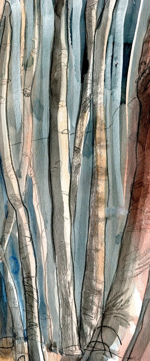 WINTER BIRCHES by Elizabeth Anne Fox