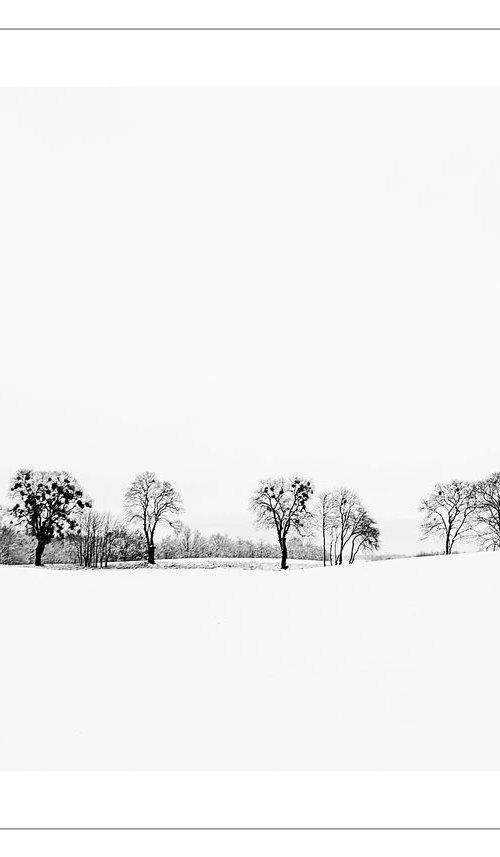 Winterscape with Trees by Beata Podwysocka