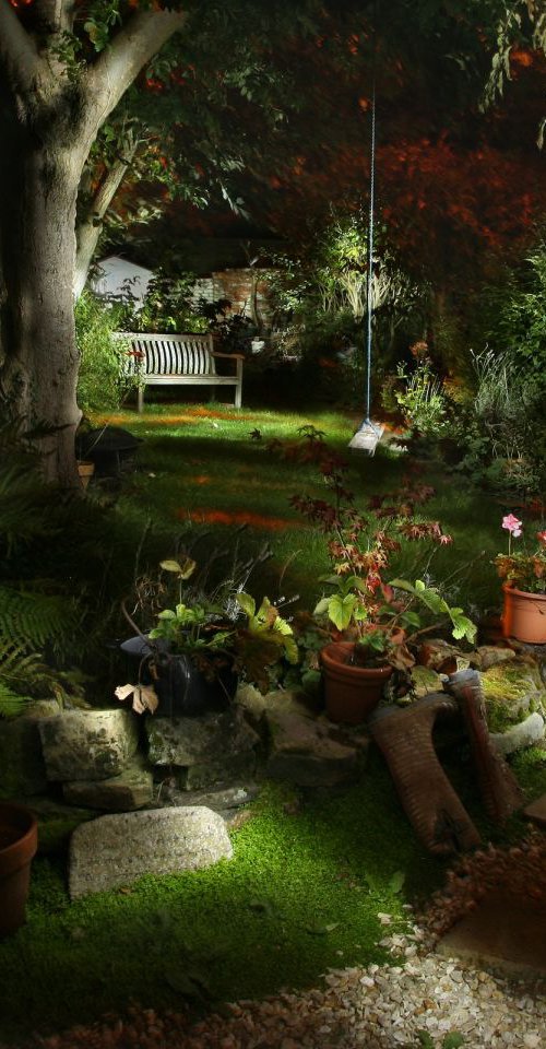 Sues Garden by Roger Morgan