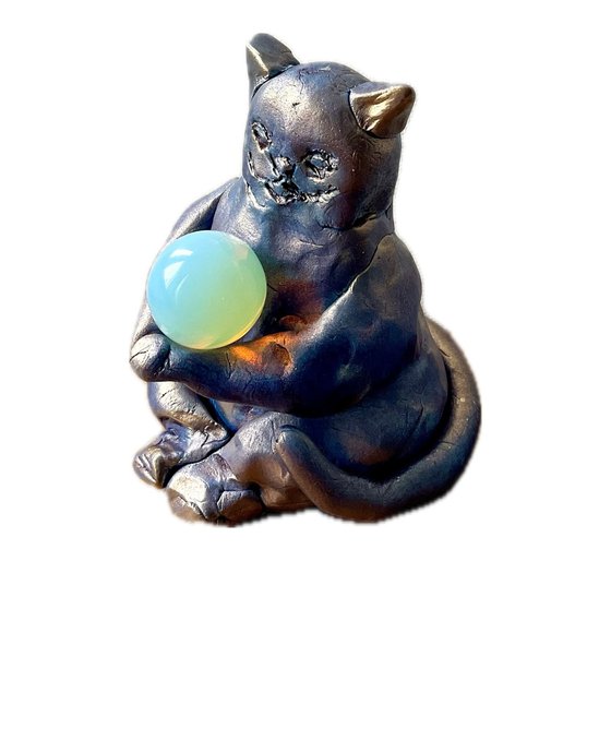 CLAIRVOYANT CAT