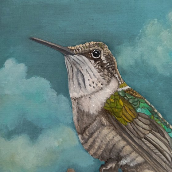 Moonlighting Hummingbird